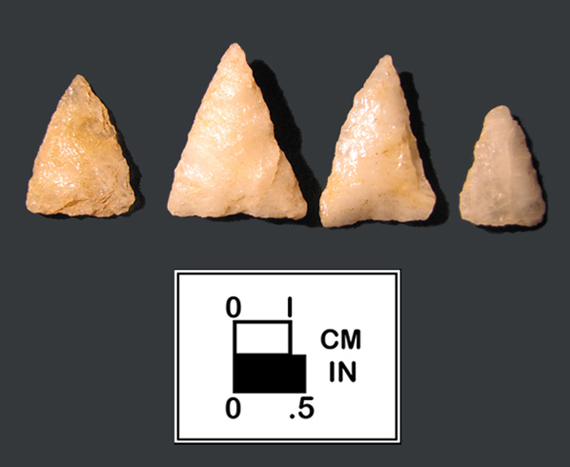 Late Archaic triangle points from 18AN50.